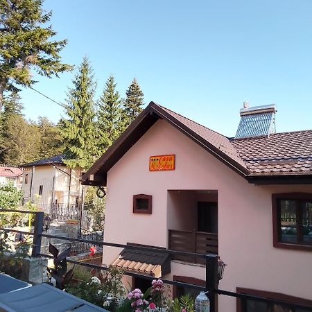 Casa Nicolas Buşteni Exteriör bild