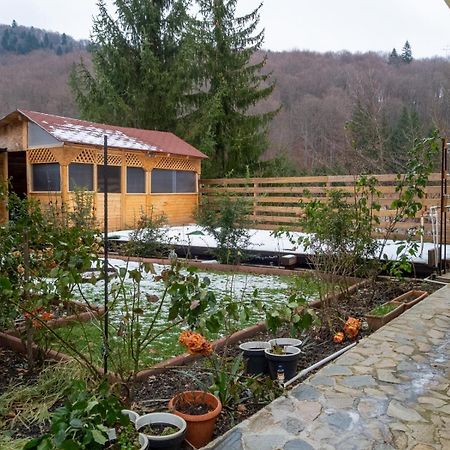 Casa Nicolas Buşteni Exteriör bild