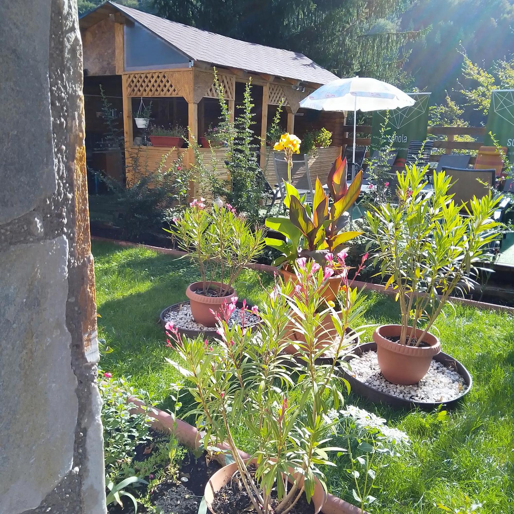 Casa Nicolas Buşteni Exteriör bild
