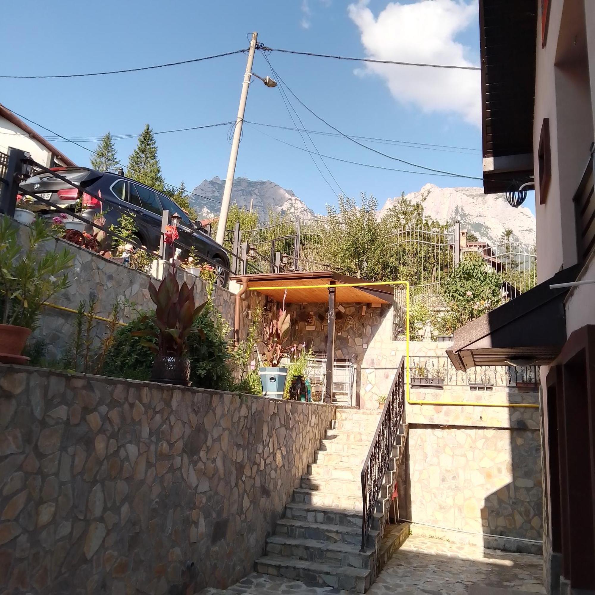 Casa Nicolas Buşteni Exteriör bild
